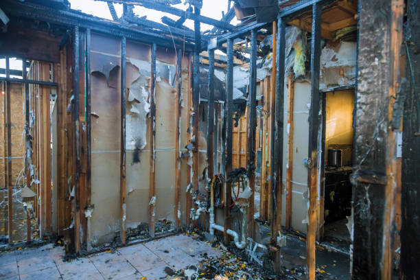 Professional Smoke Damage Removal technician working in Pinellas Park, FL