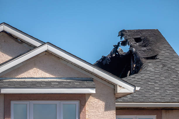 Top rated local Smoke Damage Removal specialists in Pinellas Park, FL